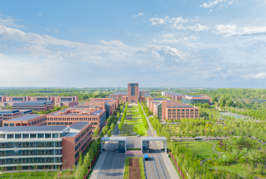 东科项目组概览